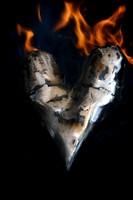 Shannon Book Heart